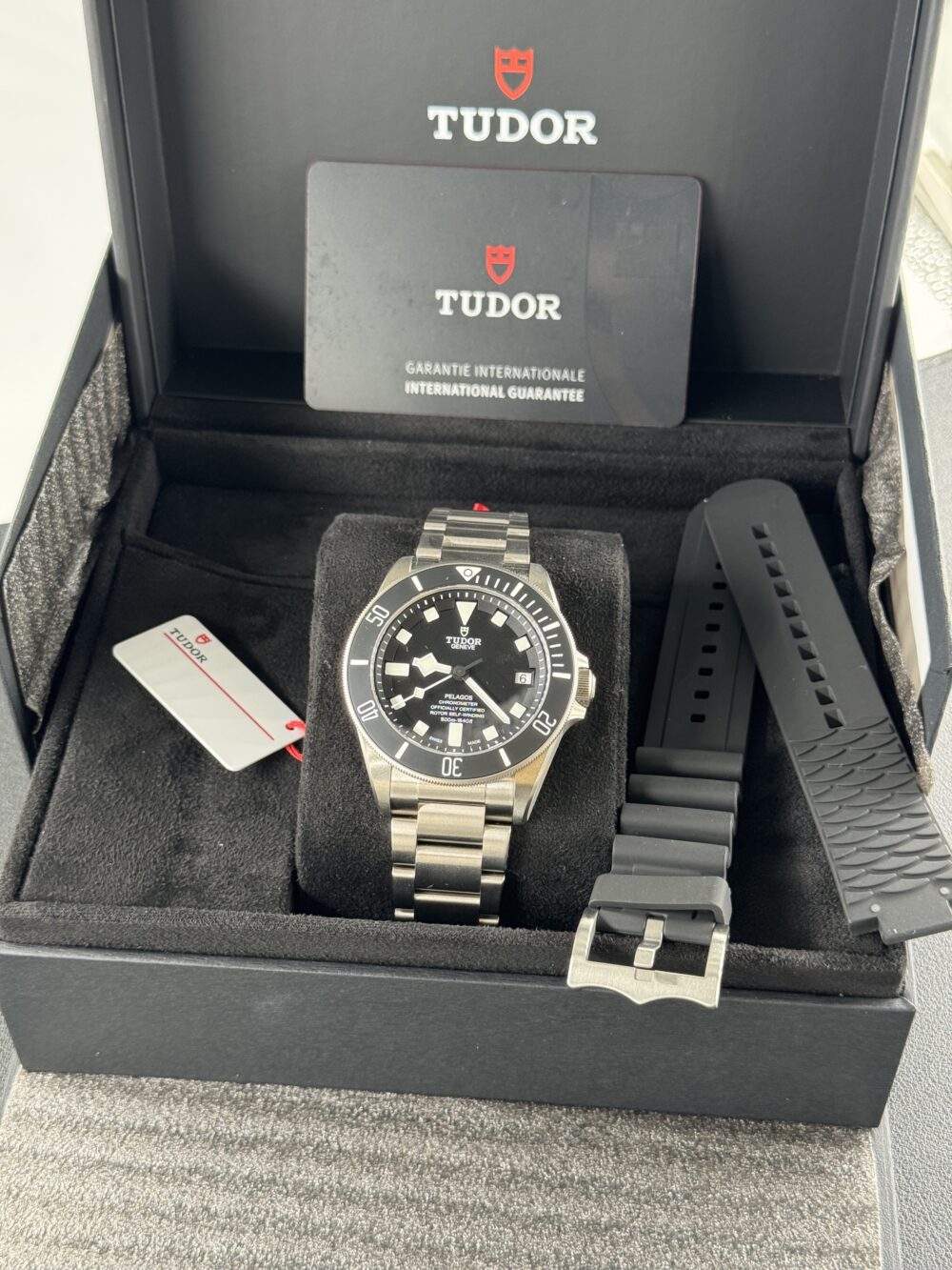 Tudor Pelagos m25600tn